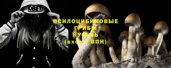 амф Аркадак