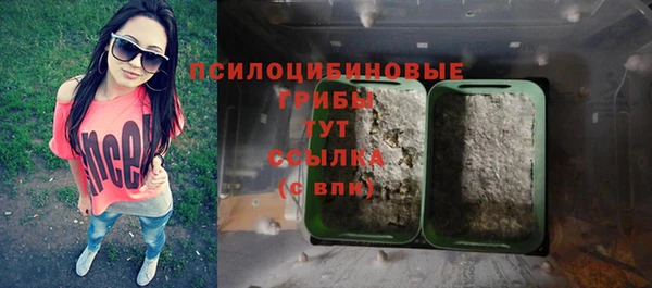 стафф Арсеньев