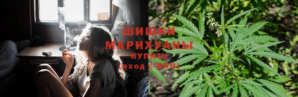 амф Аркадак