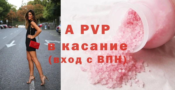 стафф Арсеньев